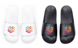 Slides